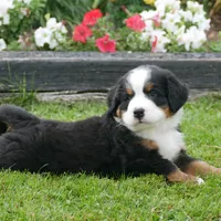 processed/a0a0aaf5-6773-4209-a50d-2e9e2a493b00/facility/786dfee5-84a4-4020-8579-58702615f871