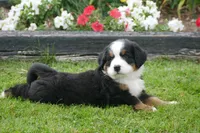 processed/a0a0aaf5-6773-4209-a50d-2e9e2a493b00/facility/786dfee5-84a4-4020-8579-58702615f871