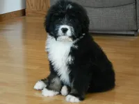 processed/a0a0aaf5-6773-4209-a50d-2e9e2a493b00/facility/9091fe90-53a1-4d7a-a3e1-4c1093d634c4