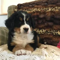 processed/a0a0aaf5-6773-4209-a50d-2e9e2a493b00/facility/b4ff13b9-05ad-4259-8dad-18f992fa99c0