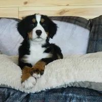 processed/a0a0aaf5-6773-4209-a50d-2e9e2a493b00/facility/e8e76db9-4543-4763-86e8-9746f056d2c3