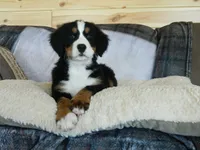 processed/a0a0aaf5-6773-4209-a50d-2e9e2a493b00/facility/e8e76db9-4543-4763-86e8-9746f056d2c3