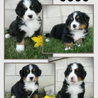 processed/a0a0aaf5-6773-4209-a50d-2e9e2a493b00/facility/fd6d7efd-e96f-47df-8322-14c1f0cdd959