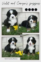 processed/a0a0aaf5-6773-4209-a50d-2e9e2a493b00/facility/fd6d7efd-e96f-47df-8322-14c1f0cdd959