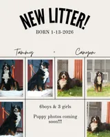 processed/a0a0aaf5-6773-4209-a50d-2e9e2a493b00/listing/2800f4e4-b3e3-4525-80b1-e0271d48f130/7a546e89-926d-485a-9030-ac4687badadb