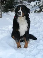 processed/a0a0aaf5-6773-4209-a50d-2e9e2a493b00/listing/2800f4e4-b3e3-4525-80b1-e0271d48f130/82f1dafe-785e-4235-bc79-b707a22a1234