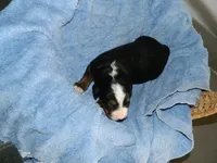 processed/a0a0aaf5-6773-4209-a50d-2e9e2a493b00/listing/2800f4e4-b3e3-4525-80b1-e0271d48f130/e3359bcf-8ffa-4abc-ae8c-4bd37d152eba