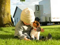Tony, a male Beagle for sale in Clare, MI – 3 of 9