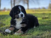 processed/a0a8c12d-2b8f-4f2b-b7ac-4d4be630dc22/listing/15c965cc-ecbe-4bad-b64c-91dd740c6495/b8661288-bfa6-460f-9a69-f5e40783726d