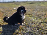 processed/a0a8c12d-2b8f-4f2b-b7ac-4d4be630dc22/listing/97b1f0b6-2fea-44dd-9e79-0a257e5e9fb4/0069dfb4-657f-4e9b-b80a-3b107b3af98d