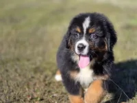 processed/a0a8c12d-2b8f-4f2b-b7ac-4d4be630dc22/listing/97b1f0b6-2fea-44dd-9e79-0a257e5e9fb4/61f0ea51-22fd-4006-8779-2fc0da49145d