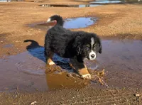 processed/a0a8c12d-2b8f-4f2b-b7ac-4d4be630dc22/listing/97b1f0b6-2fea-44dd-9e79-0a257e5e9fb4/fc9b1875-41d7-4859-8719-cda1fe824e66