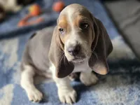 processed/a0bd1ff0-4db8-4157-a6e8-8bfa498b3d09/facility/16155446-e9f5-421d-bd2c-c7cd520a1768