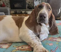 processed/a0bd1ff0-4db8-4157-a6e8-8bfa498b3d09/facility/1d61f401-d945-4990-a1fb-73a9ee7d3956