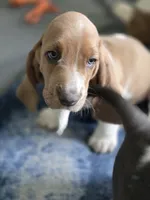 processed/a0bd1ff0-4db8-4157-a6e8-8bfa498b3d09/facility/252650bd-11b1-4295-bf23-ff7c96f4fe83