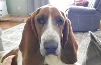 processed/a0bd1ff0-4db8-4157-a6e8-8bfa498b3d09/facility/839ed4d9-3879-4876-bcbe-7f4dc3725bce