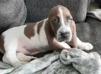 processed/a0bd1ff0-4db8-4157-a6e8-8bfa498b3d09/facility/961c3271-93e1-4a5a-88e4-9ae8393629b2