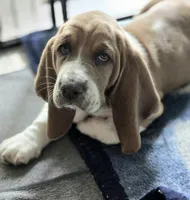 processed/a0bd1ff0-4db8-4157-a6e8-8bfa498b3d09/facility/963af5ca-c8ae-4d73-8944-a643b4754eaa