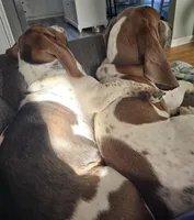 processed/a0bd1ff0-4db8-4157-a6e8-8bfa498b3d09/facility/ab81c499-bd50-42b2-b54d-64c65de35337