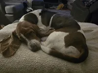 processed/a0bd1ff0-4db8-4157-a6e8-8bfa498b3d09/facility/de450ff9-f713-4b50-9e22-7ecc2b10943c