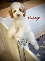 processed/a0bdbcbb-cf17-42ed-b337-a04cf326210e/listing/000b9464-499d-49ba-95bf-769a9b156dce/3954d977-afc2-459e-86f5-c8da05671a5a