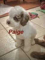 processed/a0bdbcbb-cf17-42ed-b337-a04cf326210e/listing/000b9464-499d-49ba-95bf-769a9b156dce/3d92817e-78cd-4178-8a9e-4044f36f44ee