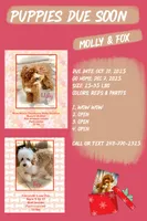 processed/a0bdbcbb-cf17-42ed-b337-a04cf326210e/listing/000b9464-499d-49ba-95bf-769a9b156dce/6d3b22dc-58e6-46dd-afdd-33e2e66db158