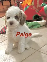 processed/a0bdbcbb-cf17-42ed-b337-a04cf326210e/listing/000b9464-499d-49ba-95bf-769a9b156dce/b4a8c86a-48dd-4866-abf0-6d7665f332f4