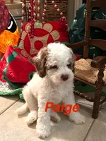 processed/a0bdbcbb-cf17-42ed-b337-a04cf326210e/listing/000b9464-499d-49ba-95bf-769a9b156dce/f5e181ec-9820-4743-9c64-1414c3143980