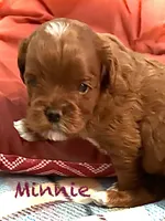 processed/a0bdbcbb-cf17-42ed-b337-a04cf326210e/listing/0220afda-50bb-4315-9150-c009935aa14b/2548f364-e006-417a-bc7e-740170af5f87