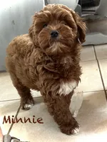 processed/a0bdbcbb-cf17-42ed-b337-a04cf326210e/listing/0220afda-50bb-4315-9150-c009935aa14b/418bde4c-2e92-4cd6-a65b-dd86beb54444