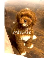 processed/a0bdbcbb-cf17-42ed-b337-a04cf326210e/listing/0220afda-50bb-4315-9150-c009935aa14b/75e0405e-90dc-46dd-8c3e-47a5ded9f0e2