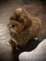 processed/a0bdbcbb-cf17-42ed-b337-a04cf326210e/listing/0220afda-50bb-4315-9150-c009935aa14b/b75a9b65-4338-47fb-a66d-dce86f2c3f24