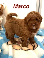 processed/a0bdbcbb-cf17-42ed-b337-a04cf326210e/listing/4fedcfb4-ddac-4d39-857d-49993140326b/ab28b7f9-9200-4be8-b48e-432f39fb15fa