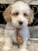 processed/a0bdbcbb-cf17-42ed-b337-a04cf326210e/listing/9f8f8770-2c3e-4cb9-a003-a6d9dab94ff2/9de5191a-94e7-43e9-99d8-ebf2a2abb652