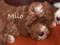 processed/a0bdbcbb-cf17-42ed-b337-a04cf326210e/listing/ea08235e-daf9-494e-91c1-25e4c2907836/77f0e1d4-9759-4f20-a28b-2e89ae26f77d