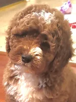 processed/a0bdbcbb-cf17-42ed-b337-a04cf326210e/listing/ea08235e-daf9-494e-91c1-25e4c2907836/c7ac5547-dca9-4118-9459-60dd8ab8ff84