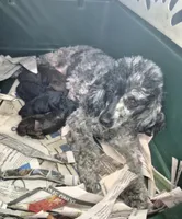 processed/a0c355ca-6b9b-462c-8fda-ff579231b534/listing/b3c85b57-6ab4-434c-bcd5-019c37f13e5b/1dc3524a-f5f0-4e3a-a7d2-45f146d301f0