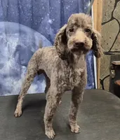 processed/a0c355ca-6b9b-462c-8fda-ff579231b534/listing/b3c85b57-6ab4-434c-bcd5-019c37f13e5b/ecd6a188-5bf4-48e3-96d5-3903e073227d