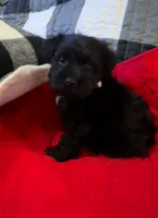 processed/a0c4f309-4715-4f7a-a089-ff64d3c0d3fc/listing/01f85e6a-2963-4d35-8a86-0d13c8f7a691/3fb24138-7459-4816-aeb9-2b8a61a83fa3