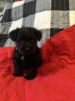 processed/a0c4f309-4715-4f7a-a089-ff64d3c0d3fc/listing/01f85e6a-2963-4d35-8a86-0d13c8f7a691/552c1528-1382-424f-8c4f-c3dc67c7bf2b