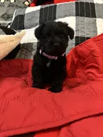 processed/a0c4f309-4715-4f7a-a089-ff64d3c0d3fc/listing/01f85e6a-2963-4d35-8a86-0d13c8f7a691/da175592-485b-44cd-a5d7-1a92e2631f94