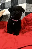 processed/a0c4f309-4715-4f7a-a089-ff64d3c0d3fc/listing/01f85e6a-2963-4d35-8a86-0d13c8f7a691/f1d48afd-8012-4905-ba89-7b670a56c82b