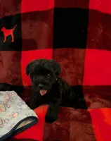 processed/a0c4f309-4715-4f7a-a089-ff64d3c0d3fc/listing/a490fbd5-4cc0-40e1-8a91-5b00b2753ae3/03a4bddf-a756-4d3d-a3d3-bd58ac37c3e0