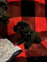 processed/a0c4f309-4715-4f7a-a089-ff64d3c0d3fc/listing/a490fbd5-4cc0-40e1-8a91-5b00b2753ae3/129ddb2a-672d-44be-a813-89e2e98c2285