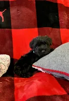 processed/a0c4f309-4715-4f7a-a089-ff64d3c0d3fc/listing/a490fbd5-4cc0-40e1-8a91-5b00b2753ae3/743816f6-2996-4ba1-8c9f-efd2ac9ce5bb