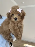 processed/a0cae2be-d687-45cd-8eeb-a0ef6375ec12/listing/3e8860ec-12ad-48b3-87ed-d9dd03a1c43a/141ddae9-2989-4779-b913-f92fcd678fc2