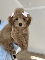 processed/a0cae2be-d687-45cd-8eeb-a0ef6375ec12/listing/3e8860ec-12ad-48b3-87ed-d9dd03a1c43a/58c99a19-486c-4b64-8906-361d0b4963a4