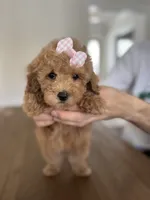 processed/a0cae2be-d687-45cd-8eeb-a0ef6375ec12/listing/3e8860ec-12ad-48b3-87ed-d9dd03a1c43a/60634c0c-e1d9-4221-a7f3-b7abc248e174