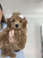 processed/a0cae2be-d687-45cd-8eeb-a0ef6375ec12/listing/3e8860ec-12ad-48b3-87ed-d9dd03a1c43a/65393848-908e-4a59-981e-6121a0bf221b